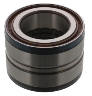 Volvo Rear Wheel Bearing - FL 6 2000-2006