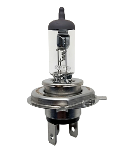 Globe 24V 75/70W H4